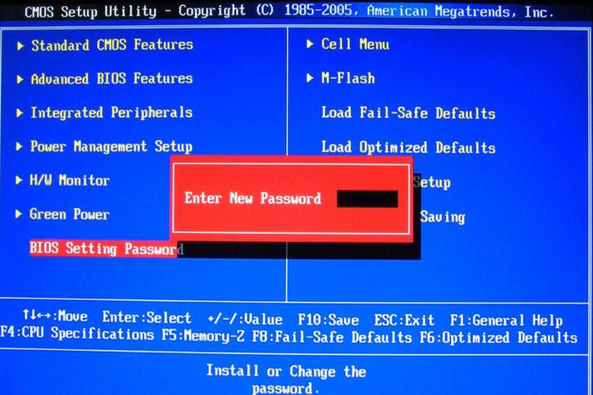 Password-BIOS